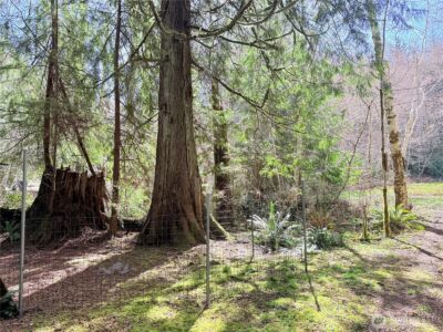 191 W Thunderbird Drive , Elma, WA 98541-9600 - Photo 13