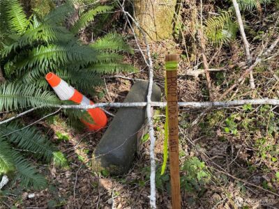 191 W Thunderbird Drive , Elma, WA 98541-9600 - Photo 14