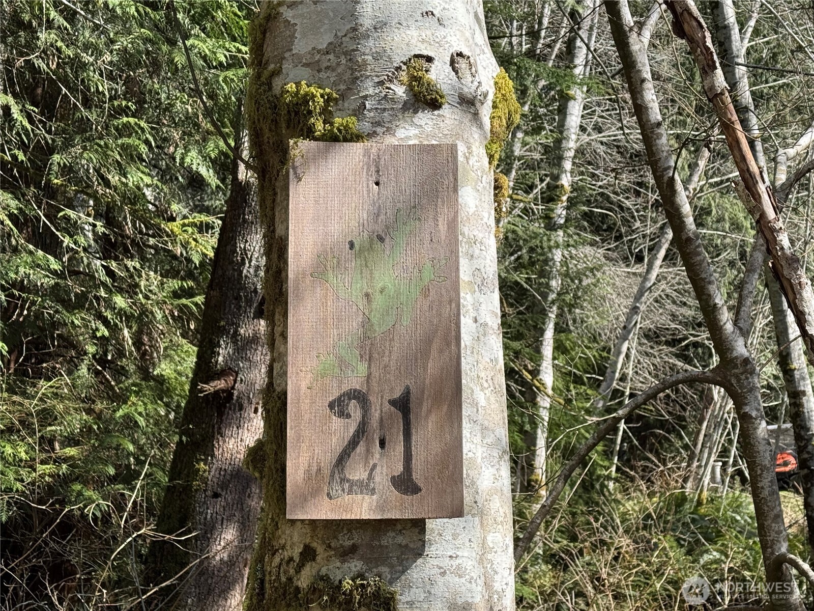 191 W Thunderbird Drive , Elma, WA 98541-9600