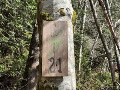 191 W Thunderbird Drive , Elma, WA 98541-9600 - Photo 5