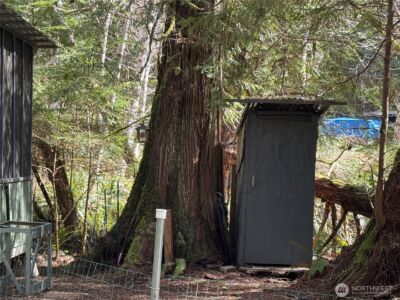 191 W Thunderbird Drive , Elma, WA 98541-9600 - Photo 7