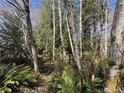 191 W Thunderbird Drive , Elma, WA 98541-9600 - Photo 10