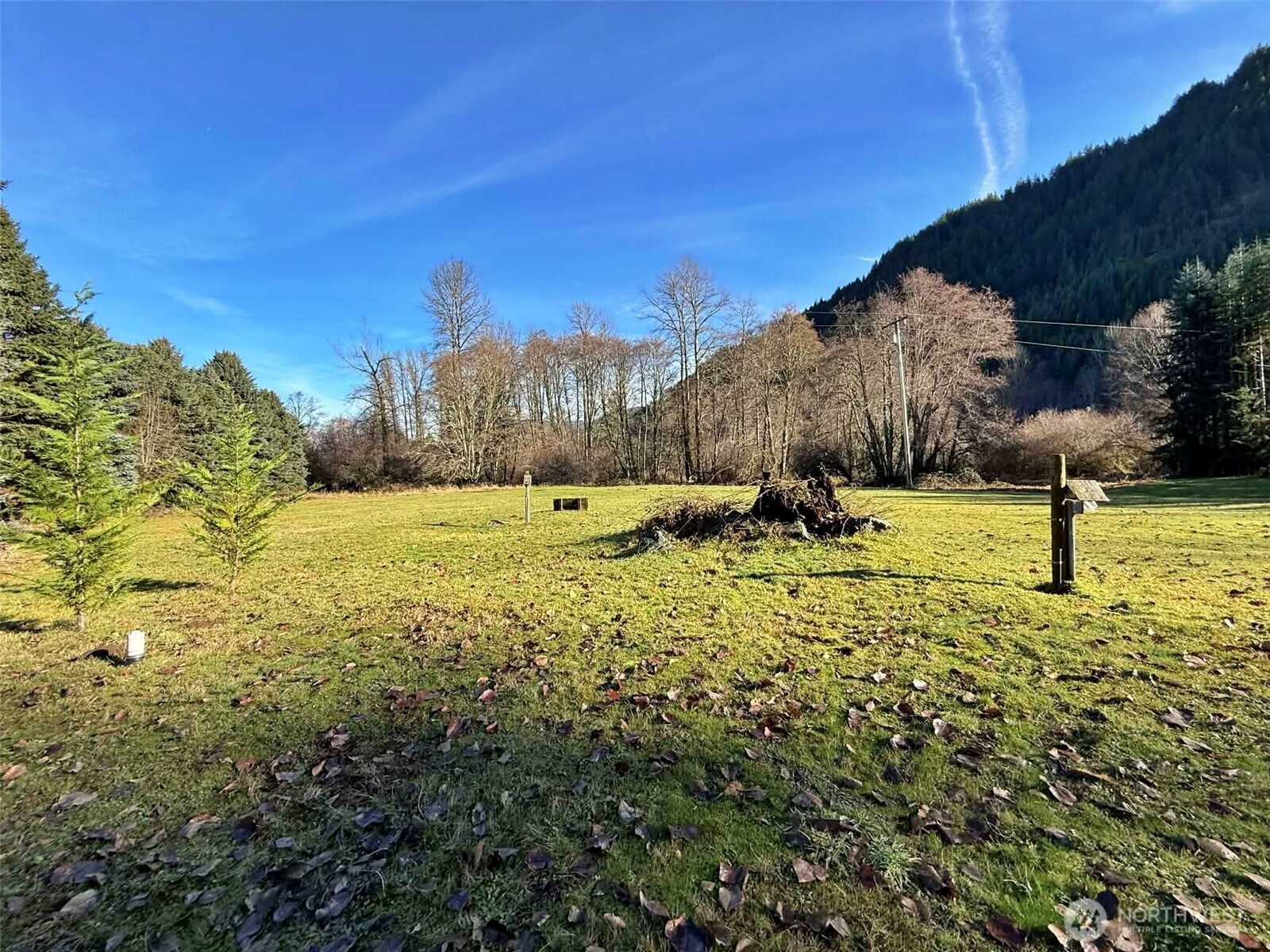 128 Kauer Road , Randle, WA 98377