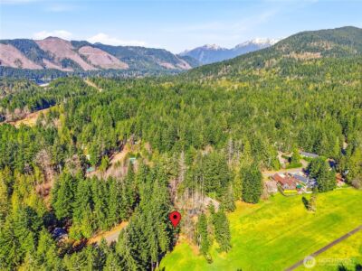 361 N Duckabush Drive E, Hoodsport, WA 98548 - Photo 34