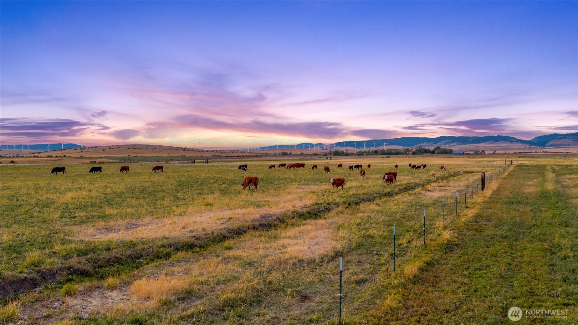 10350 Highway 97 , Ellensburg, WA 98926