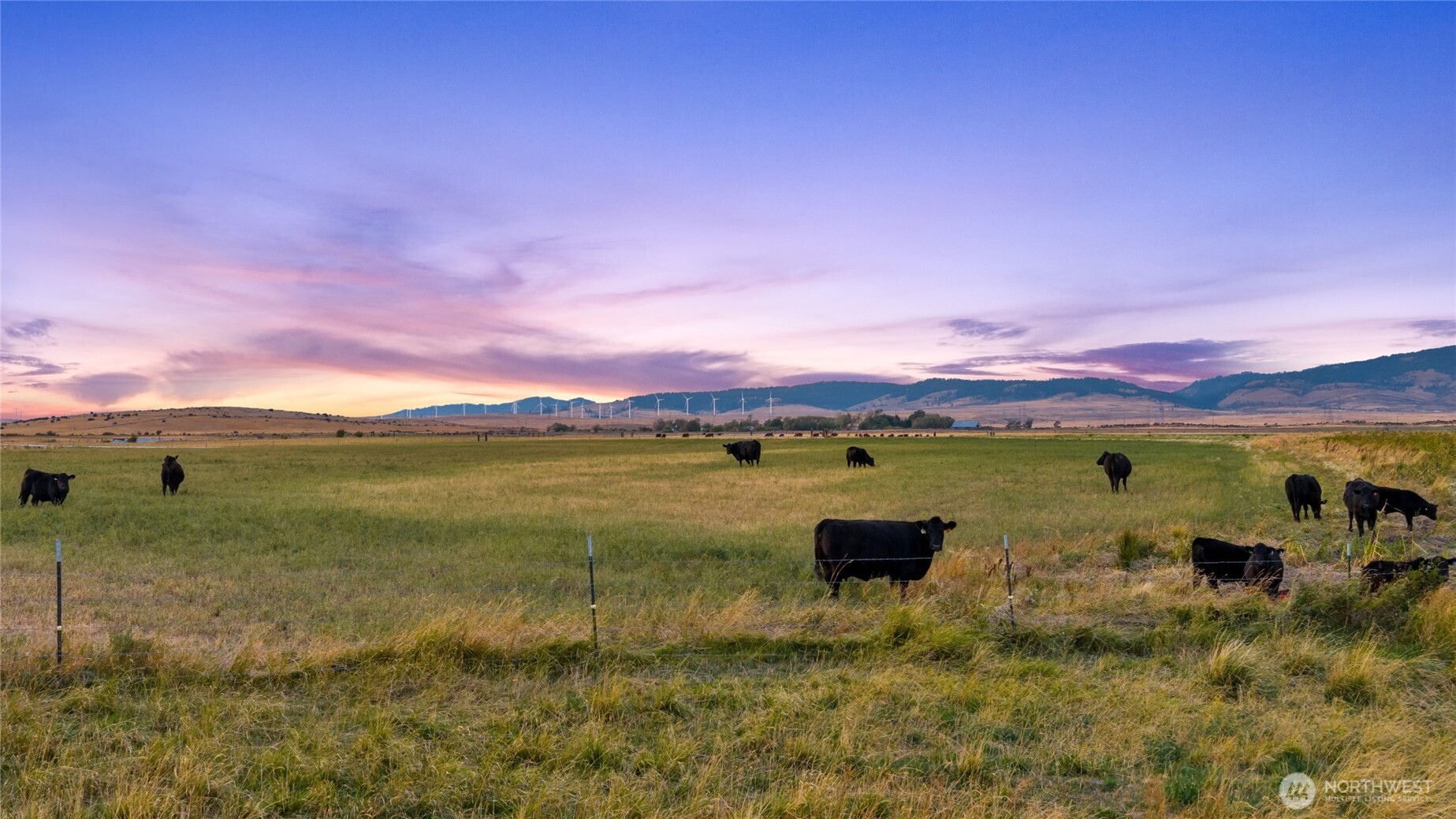 10350 Highway 97 , Ellensburg, WA 98926