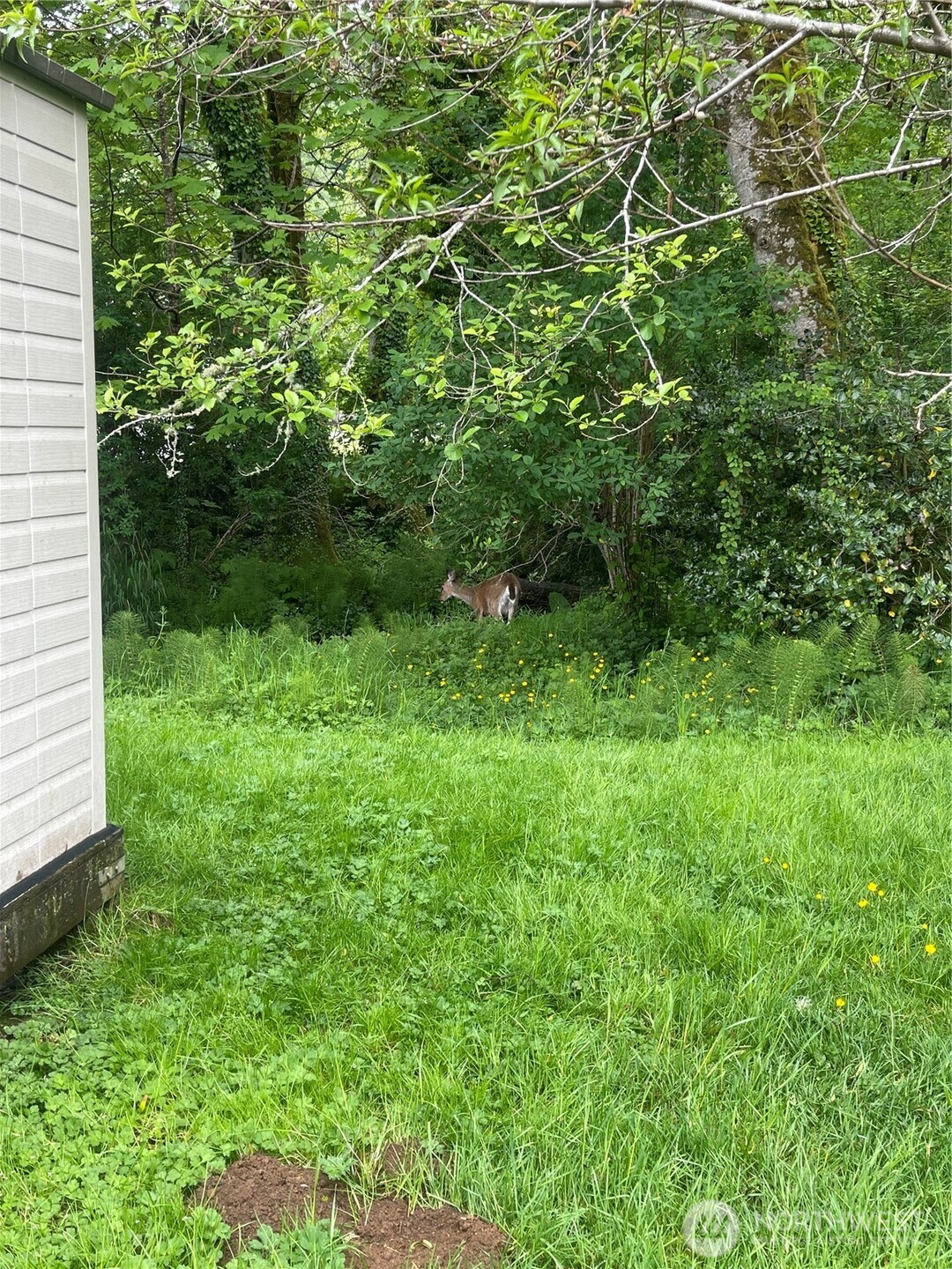 1050 Howard Street #10, Raymond, WA 98577