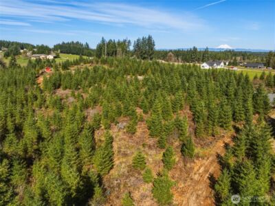 128 Brim Ridge Lane , Winlock, WA 98596 - Photo 11