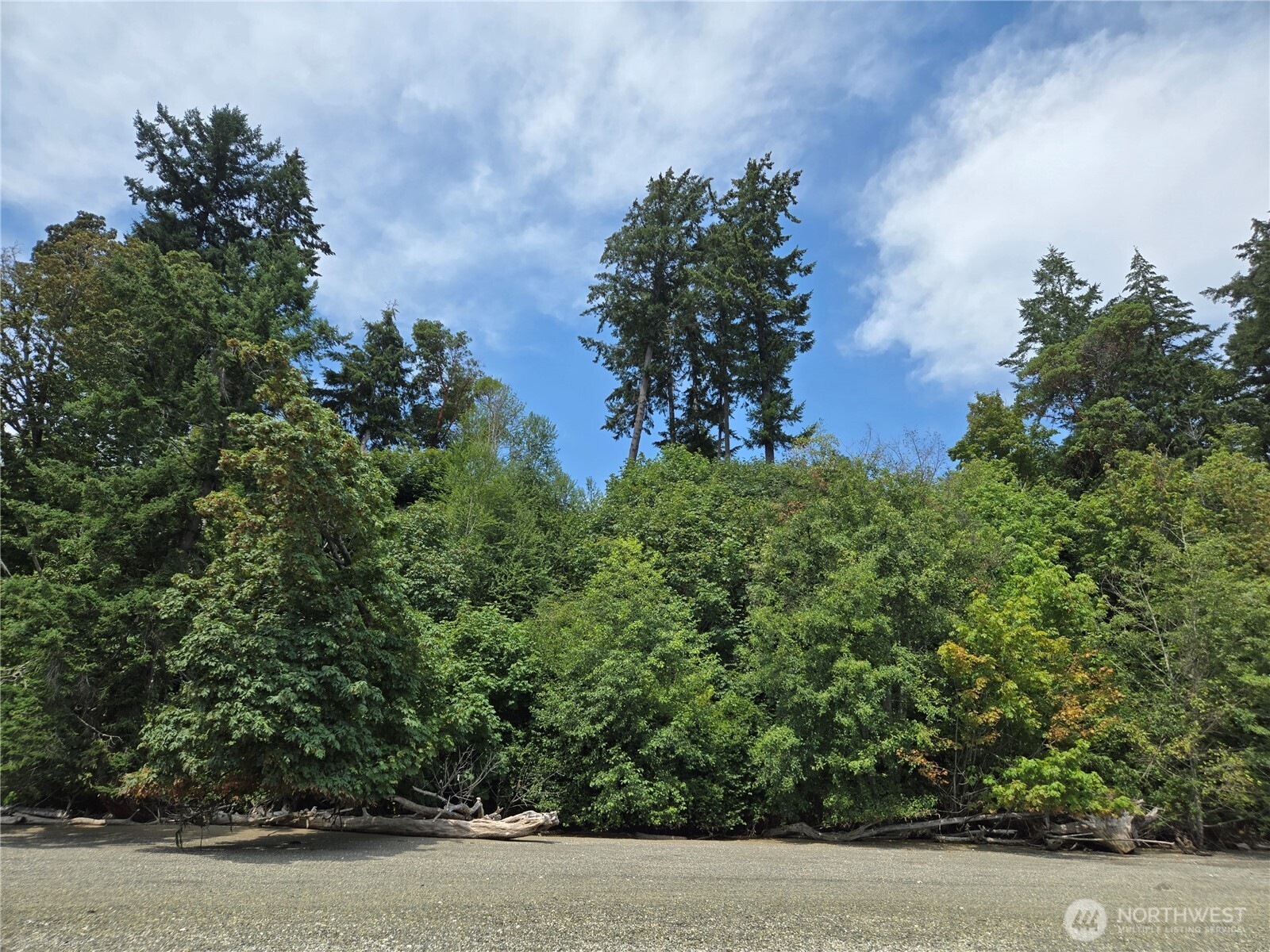 14516 45th Street SW #10, Lakebay, WA 98349