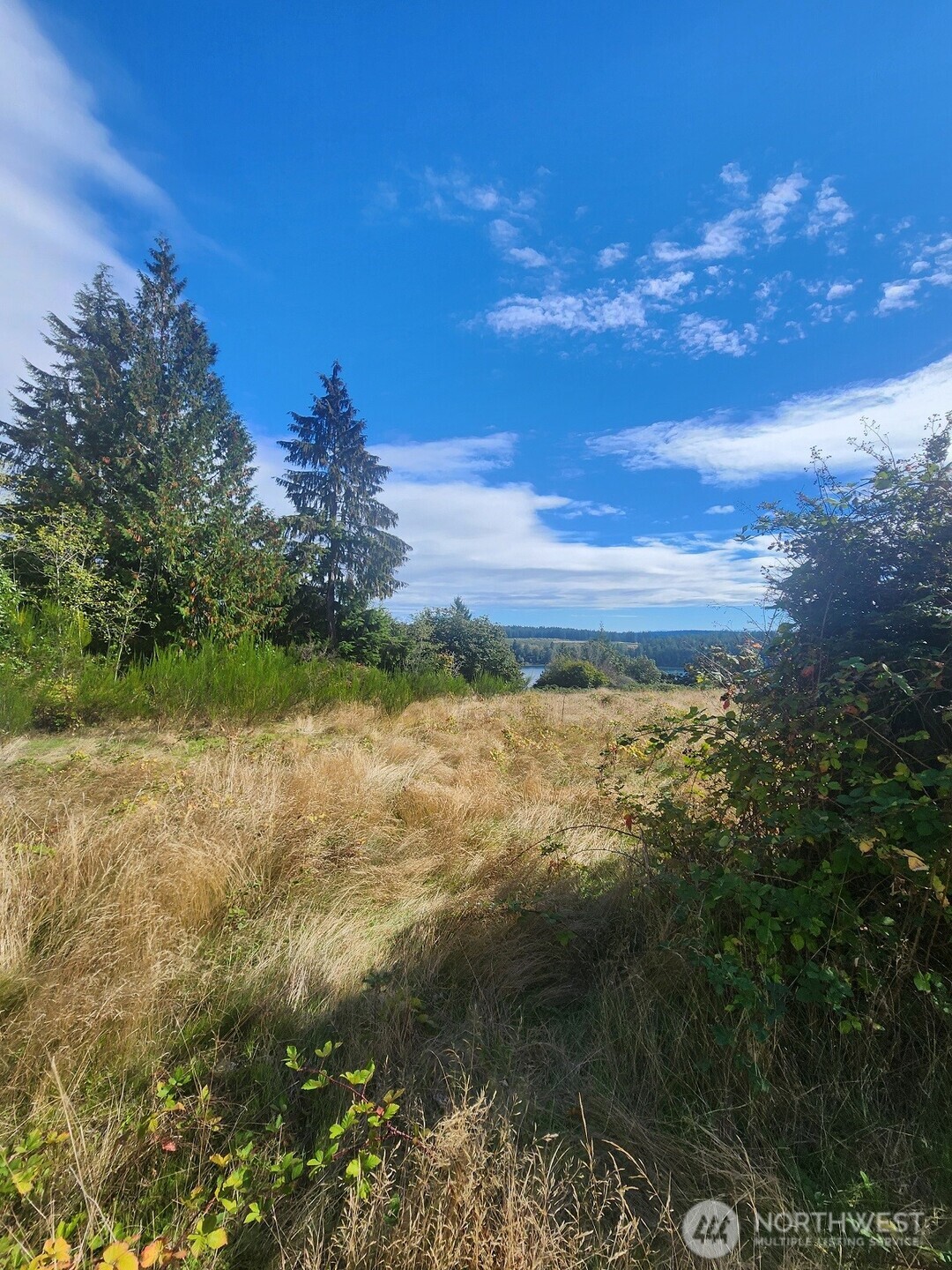 14516 45th Street SW #10, Lakebay, WA 98349