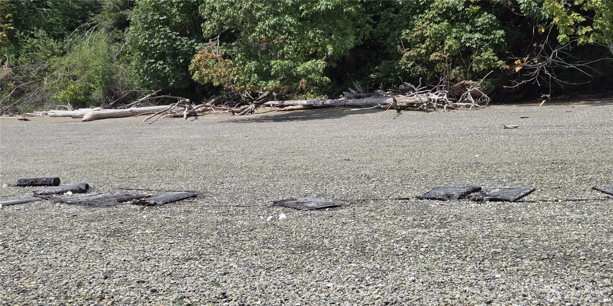 14528 45th Street SW, Lakebay, WA 98349