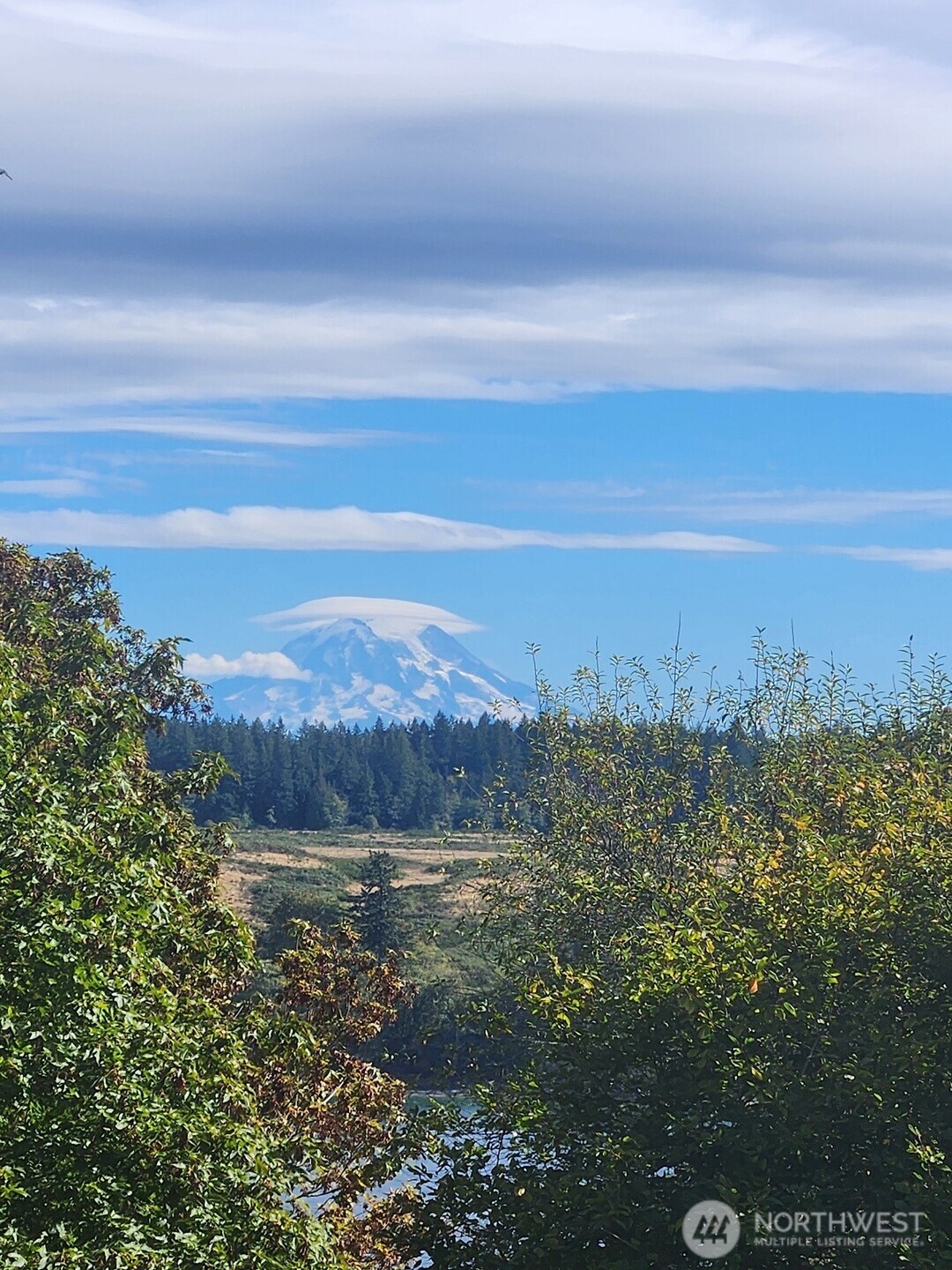 14528 45th Street SW, Lakebay, WA 98349