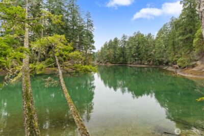 2832 Fishtrap Loop NE, Olympia, WA 98506 - Photo 34