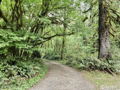 1999 Dowan Creek Road , Forks, WA 98331 - Photo 13