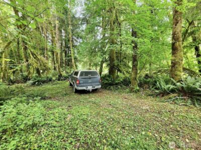 1999 Dowan Creek Road , Forks, WA 98331 - Photo 14