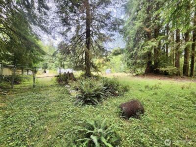 1999 Dowan Creek Road , Forks, WA 98331 - Photo 15