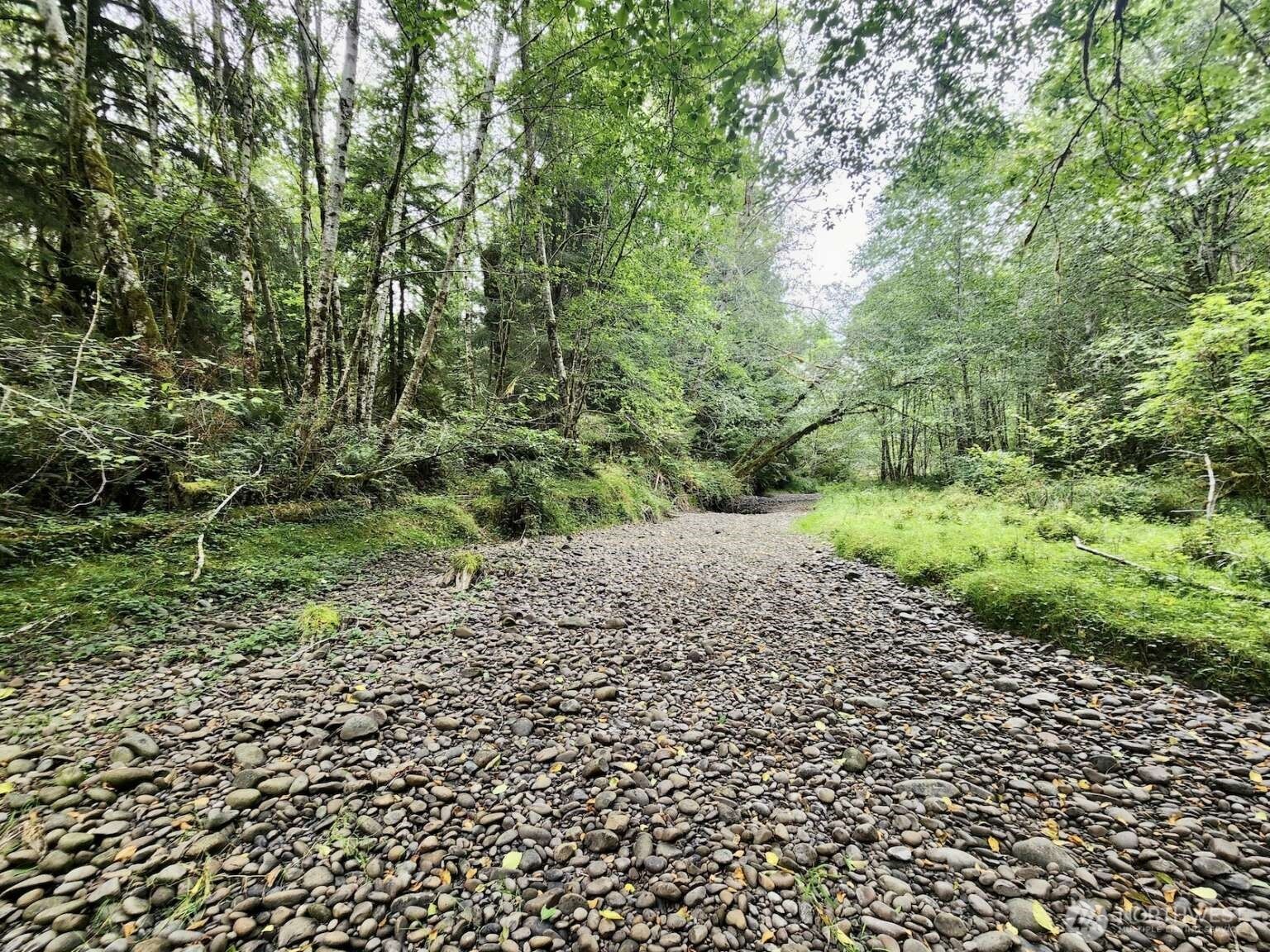 1999 Dowan Creek Road , Forks, WA 98331