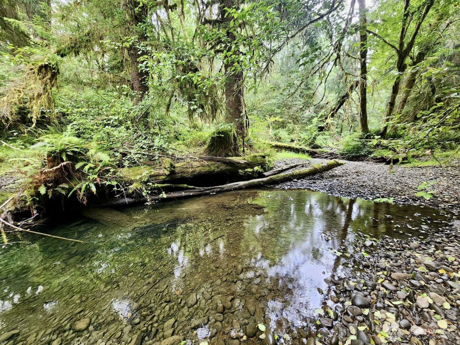 1999 Dowan Creek Road , Forks, WA 98331