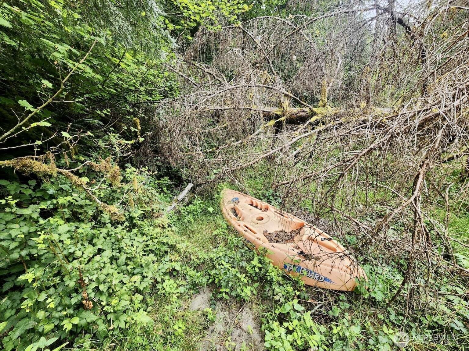 1999 Dowan Creek Road , Forks, WA 98331