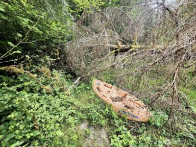 1999 Dowan Creek Road , Forks, WA 98331 - Photo 26