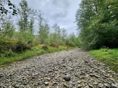 1999 Dowan Creek Road , Forks, WA 98331 - Photo 27