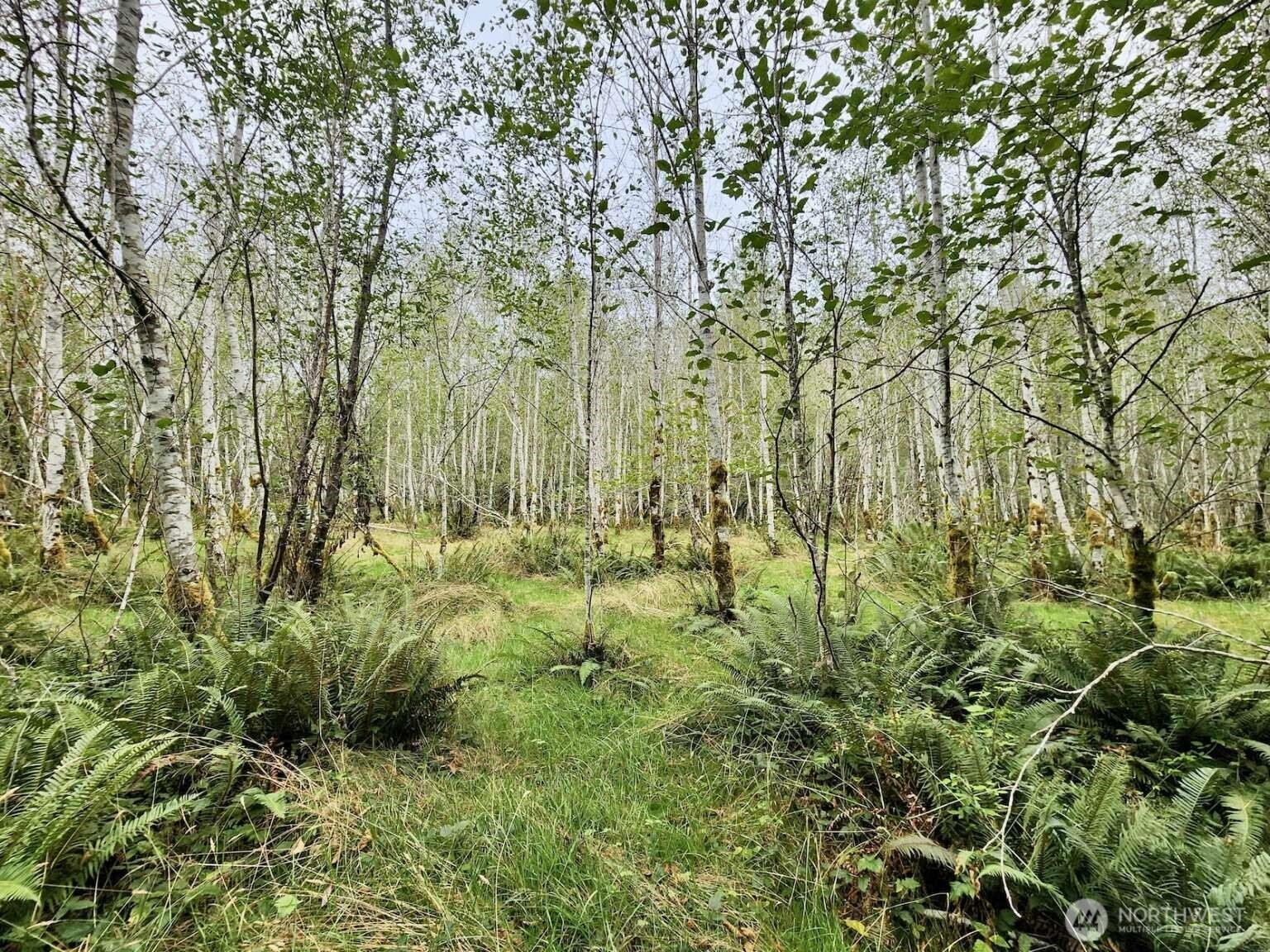 1999 Dowan Creek Road , Forks, WA 98331