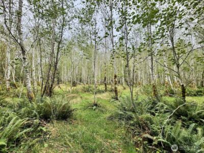 1999 Dowan Creek Road , Forks, WA 98331 - Photo 28