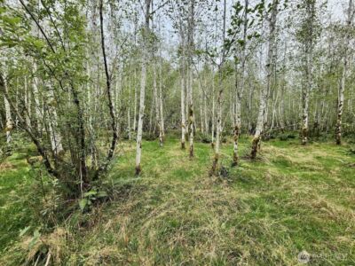 1999 Dowan Creek Road , Forks, WA 98331 - Photo 29