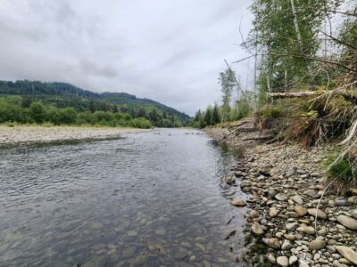 1999 Dowan Creek Road , Forks, WA 98331 - Photo 33