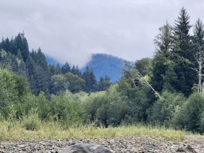 1999 Dowan Creek Road , Forks, WA 98331 - Photo 35