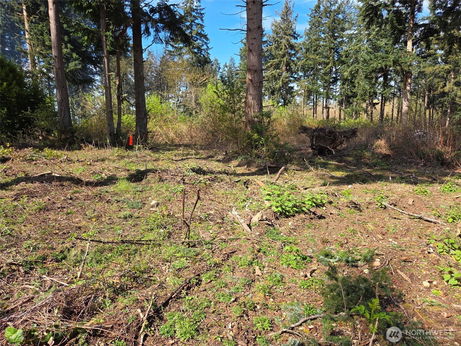 70 B Port Susan Drive , Hat Island, WA 98206