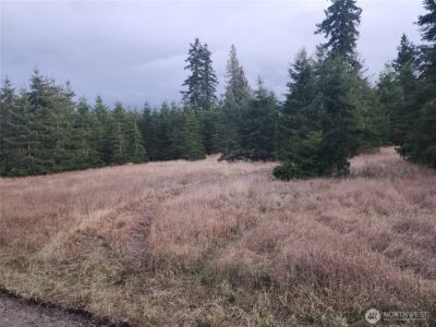 0 Lilly Road , Port Angeles, WA 98382 - Photo 3