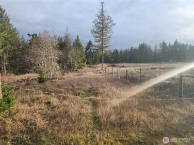 0 Lilly Road , Port Angeles, WA 98382 - Photo 5