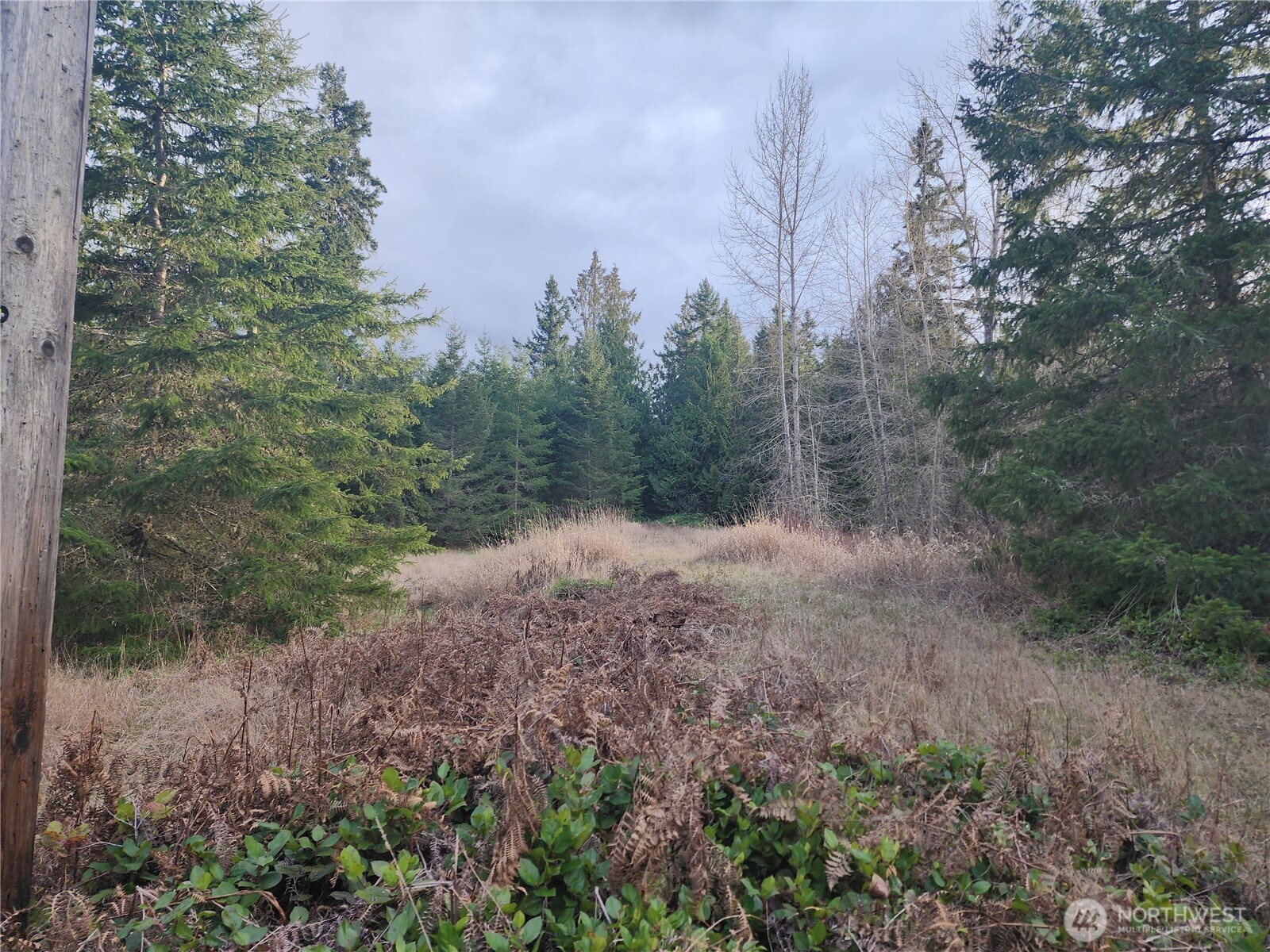 0 Lilly Road , Port Angeles, WA 98382