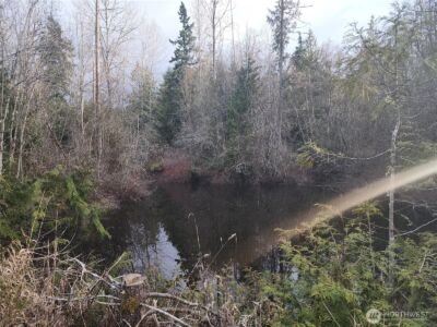 0 Lilly Road , Port Angeles, WA 98382 - Photo 7