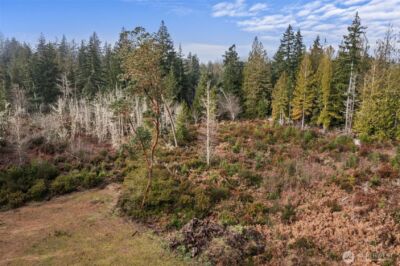 2561 E Harstine Island Road N, Shelton, WA 98584 - Photo 7