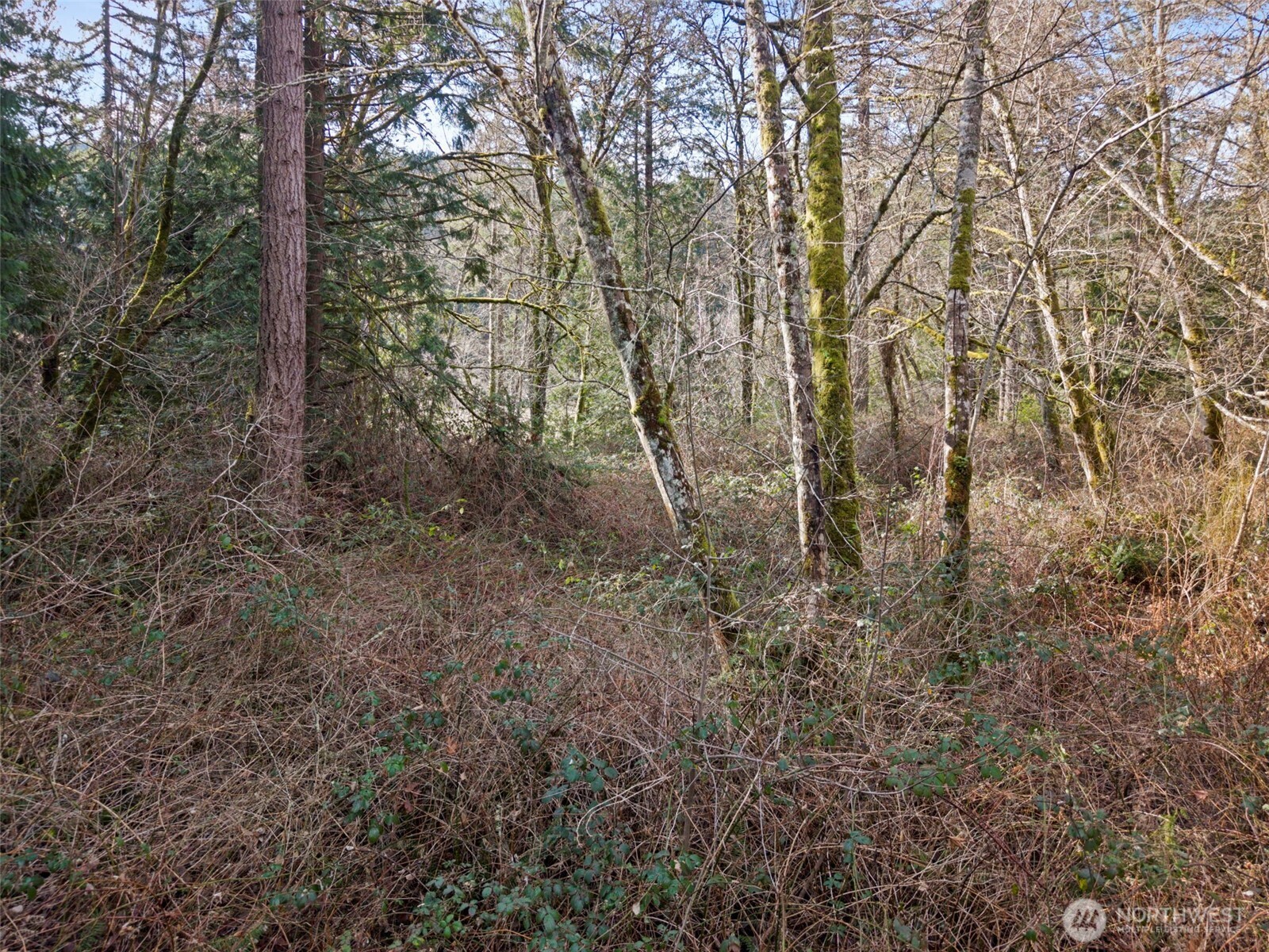 0 Olalla Valley Road SE, Olalla, WA 98359