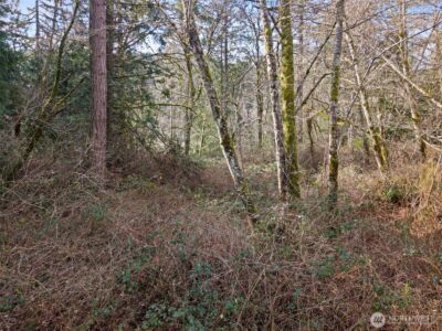 0 Olalla Valley Road SE, Olalla, WA 98359 - Photo 11