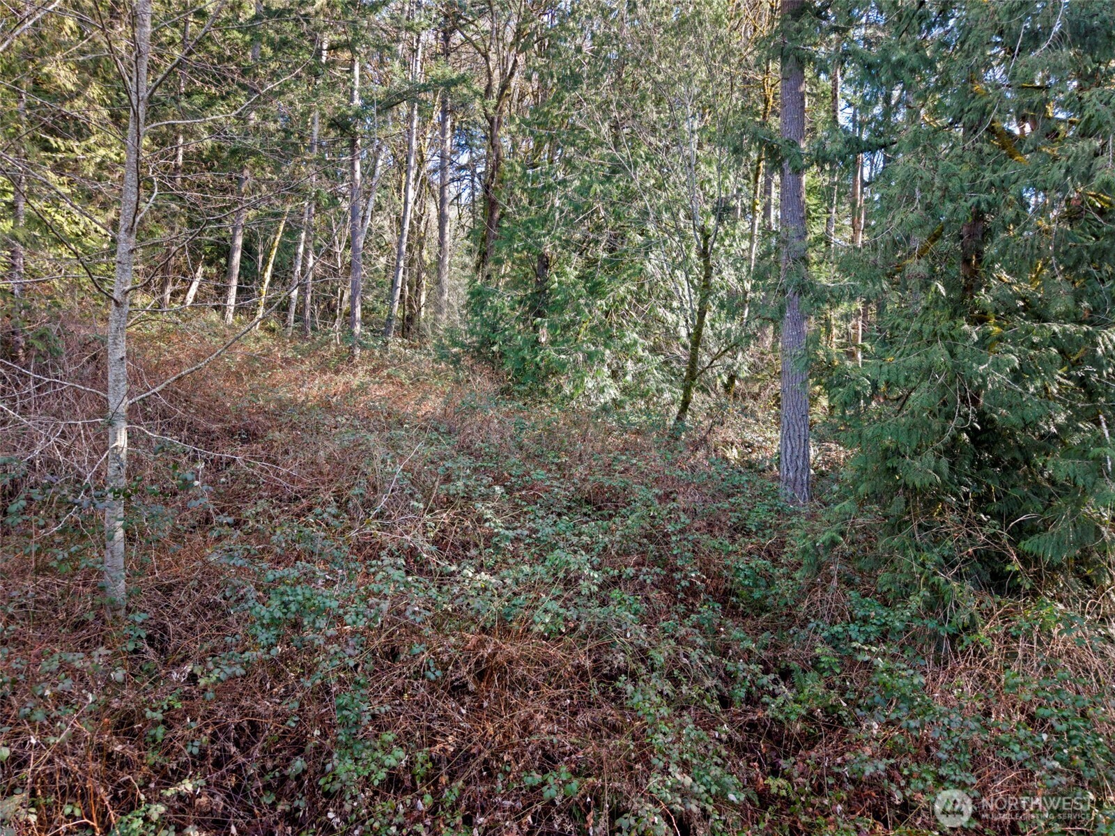 0 Olalla Valley Road SE, Olalla, WA 98359