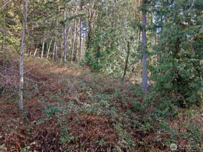 0 Olalla Valley Road SE, Olalla, WA 98359 - Photo 12