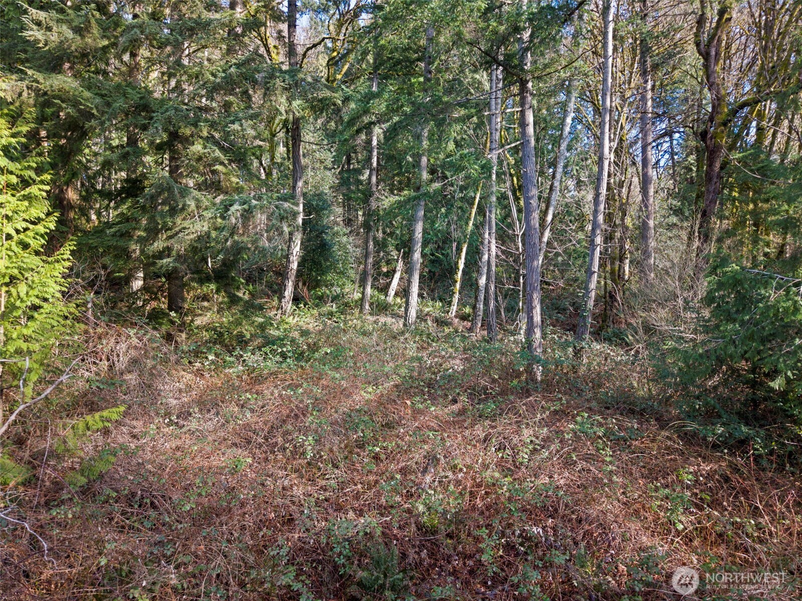 0 Olalla Valley Road SE, Olalla, WA 98359