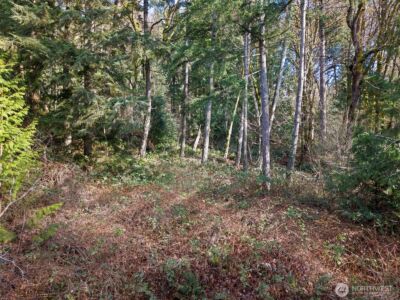 0 Olalla Valley Road SE, Olalla, WA 98359 - Photo 13