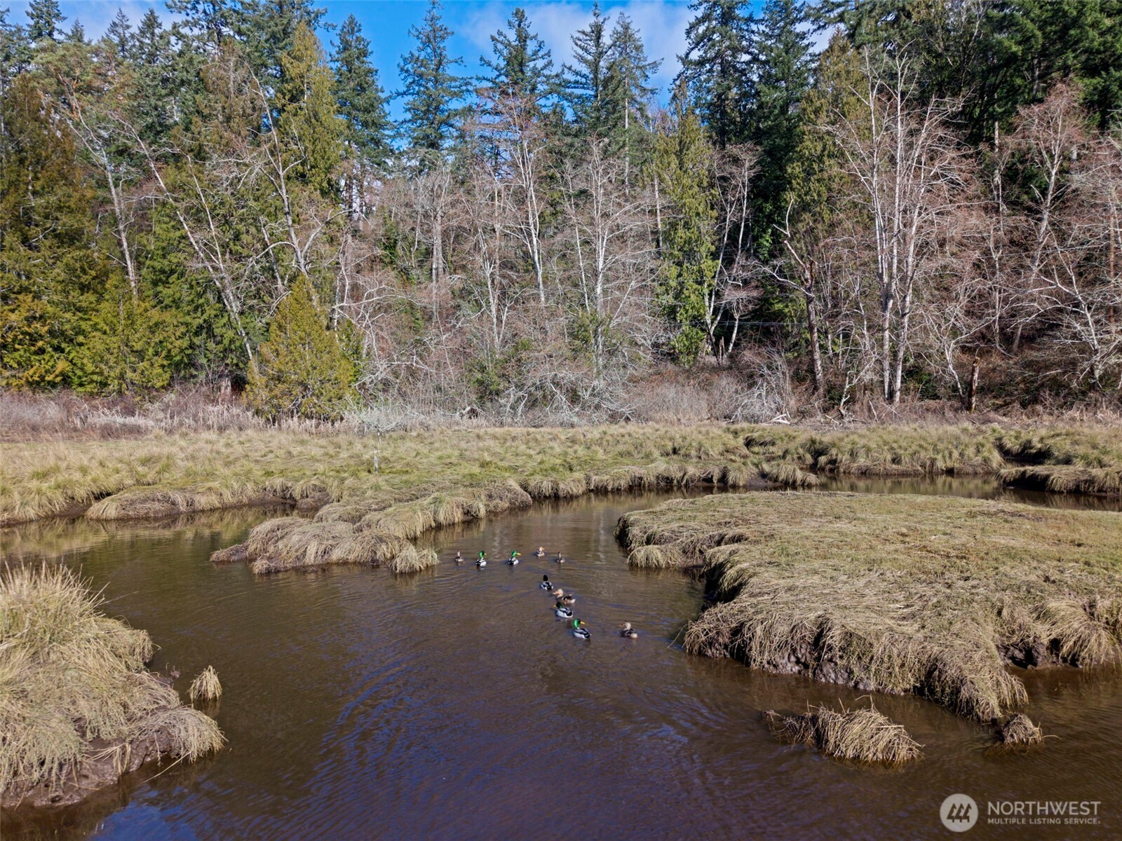 0 Olalla Valley Road SE, Olalla, WA 98359