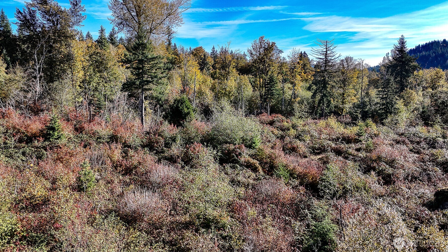 34700 SE 99th Street , Snoqualmie, WA 98065