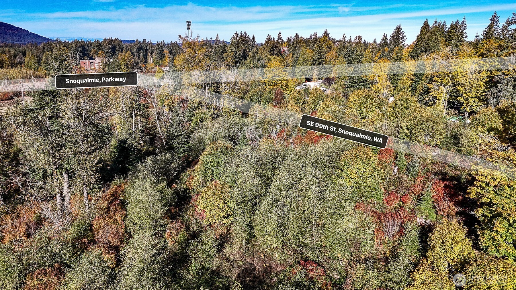 34700 SE 99th Street , Snoqualmie, WA 98065