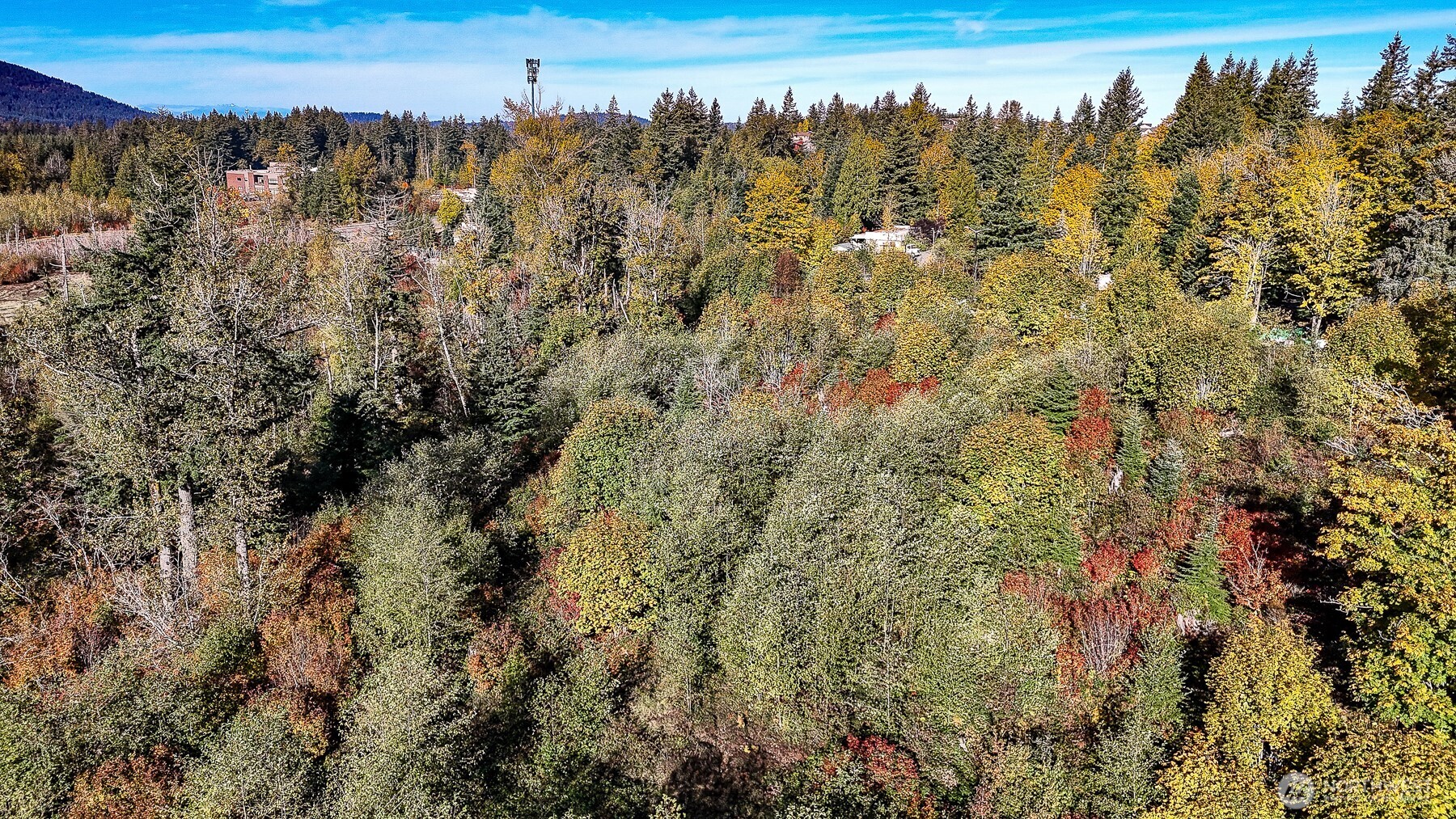 34700 SE 99th Street , Snoqualmie, WA 98065