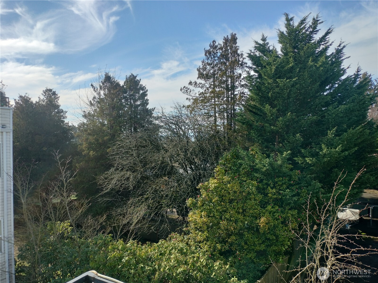 11755 Greenwood Avenue N #203, Seattle, WA 98133-8151