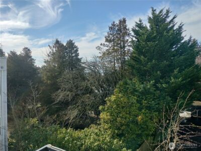 11755 Greenwood Avenue N #203, Seattle, WA 98133-8151 - Photo 10