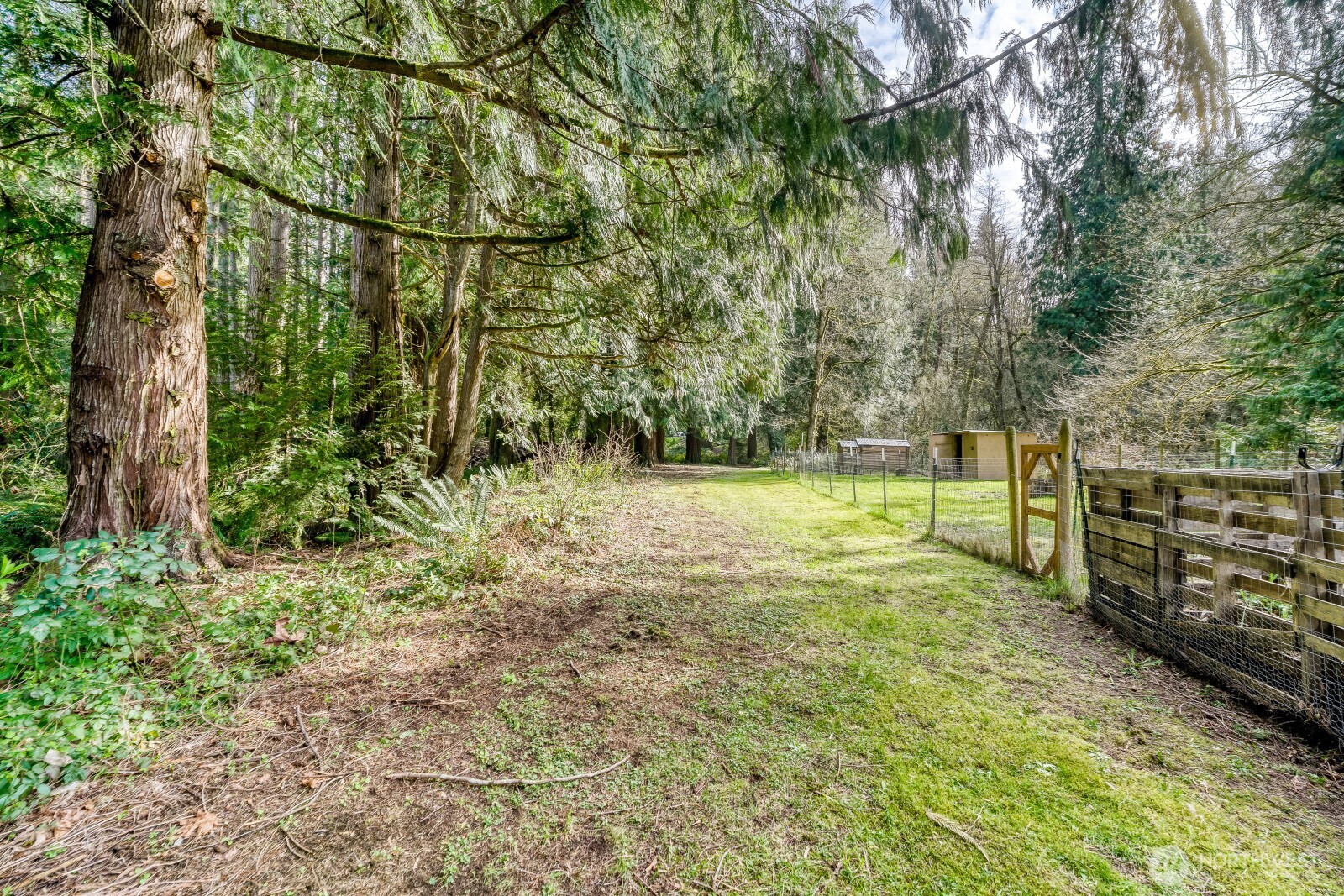 38805 258th Avenue SE, Enumclaw, WA 98022-8869