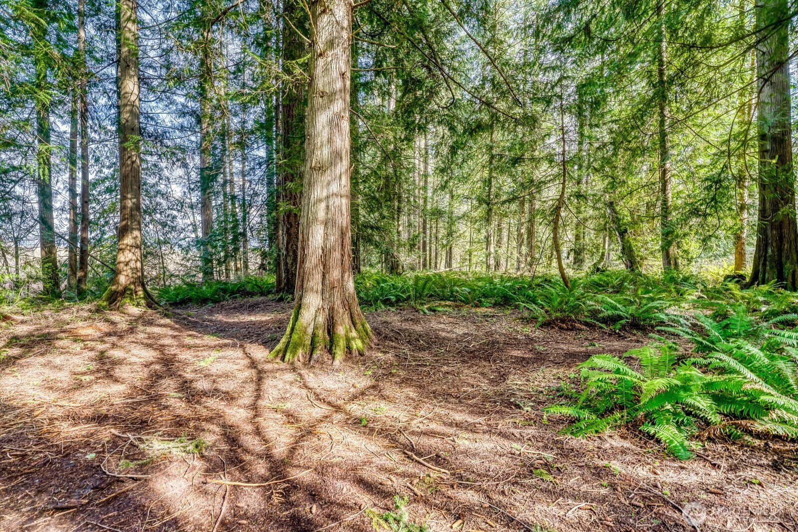 38805 258th Avenue SE, Enumclaw, WA 98022-8869